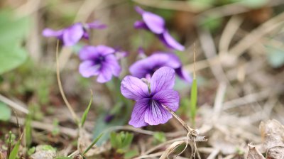 세상의 모든 이슈 - 세모이 운영컨셉