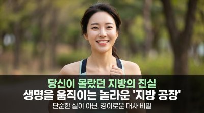 지방, 단순한 적이 아니다: 우리 몸의 지질대사 완벽 해부