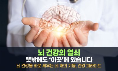 뇌 건강의 열쇠, 뜻밖에도 ‘이곳’에 있습니다