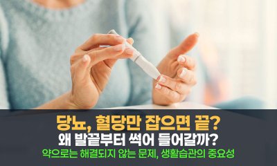 혈당표는 정상인데 왜 내 몸은 썩어가는가? 당신이 놓친 당뇨의 진짜 얼굴